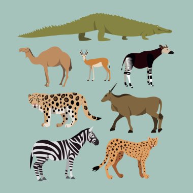 Vector Set Of Different African Animals. Animals of the African savanna Dromedary camel, crocodile, leopard, Okapi, Cheetah, Canna, Zebra, Springbok.