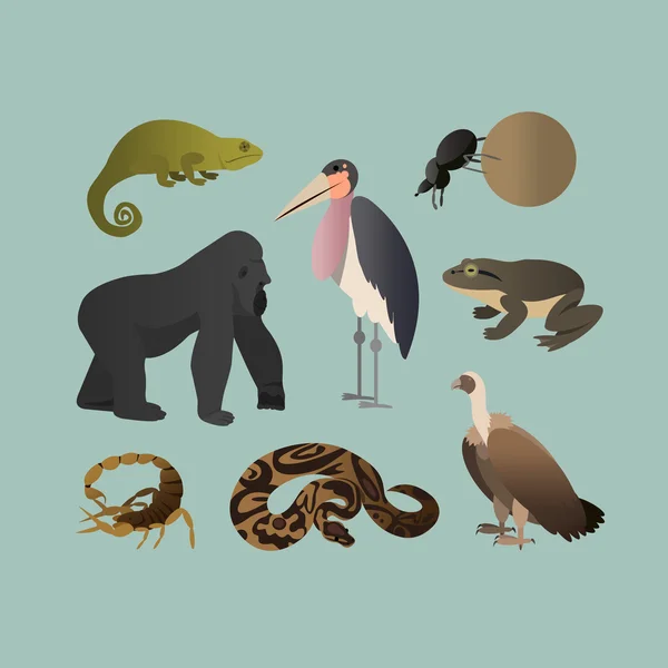 Vector conjunto de diferentes animales africanos. Animales de la sabana africana Gorila, Escorpio, Escarabajo bola de torsión, Camaleón, Pitón, Goliat rana, Marabú, Grif. Estilo plano . — Vector de stock