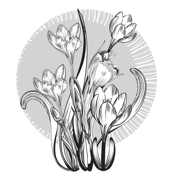 Fiori eleganti vintage. Illustrazione vettoriale in bianco e nero. Botanica . — Vettoriale Stock
