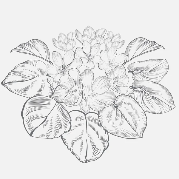 Винтажные элегантные цветы. Черно-белая векторная иллюстрация. Ботаника . — стоковый вектор