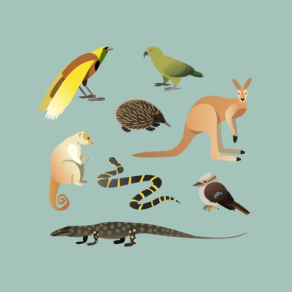 Vector Set Of Different Australian Animals. Animals of Australian Kangaroo Echidna, Couscous, Australian giant lizard, mangrove snake, parrot Kea, Laughing Kingfisher, Big bird of paradise. Vector Graphics