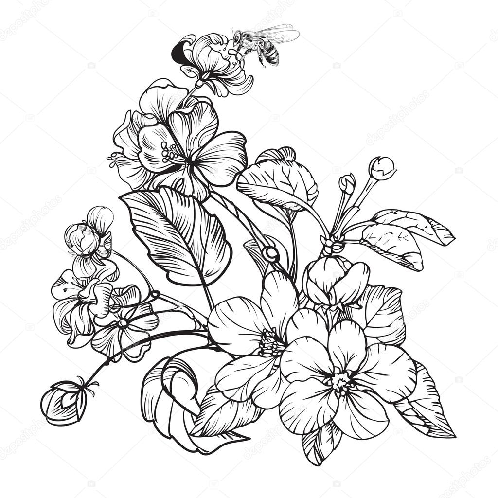 Vintage elegant flowers. Black and white vector ...