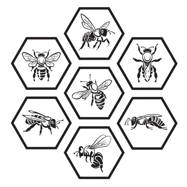 Ensemble d'icônes miel — Image vectorielle