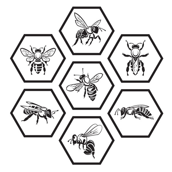 set of honey icons