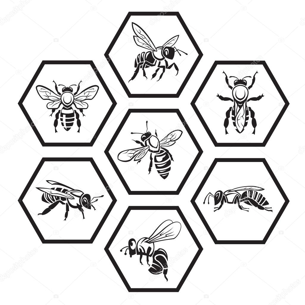set of honey icons