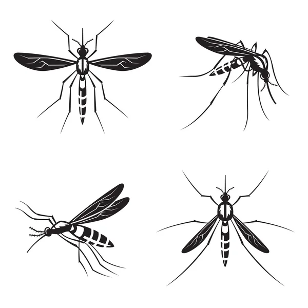 Conjunto de mosquitos — Vector de stock