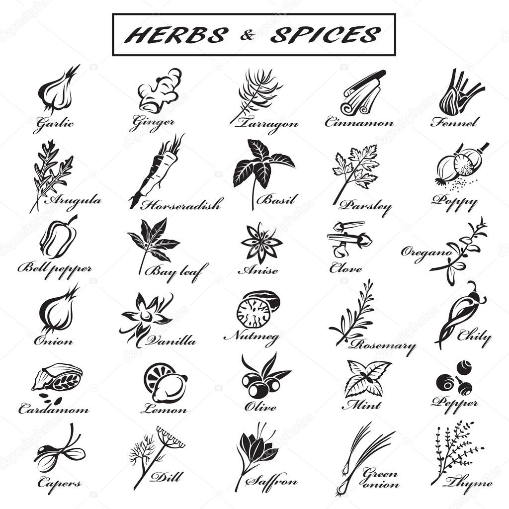 Set of different herbs and spices