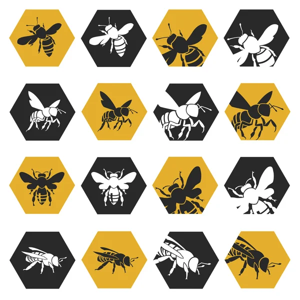 Conjunto de abejas — Vector de stock