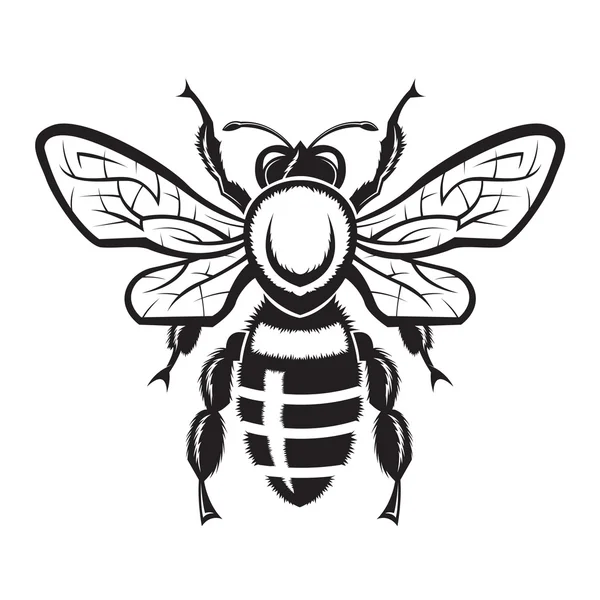 Imagen de Bee — Vector de stock