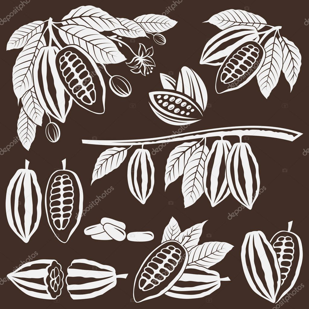 collection of cocoa beans, branch and leaves isolated on brown background