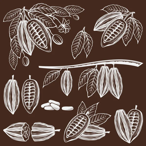 Colección Granos Cacao Rama Hojas Aisladas Sobre Fondo Marrón — Archivo Imágenes Vectoriales