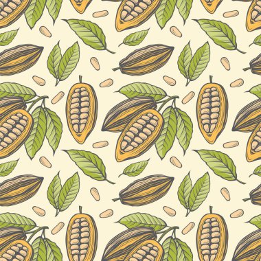 Kakao çekirdeğinin kusursuz deseni, dalları ve yaprakları