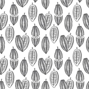 Beyaz arka planda kakao çekirdeğinin kusursuz deseni