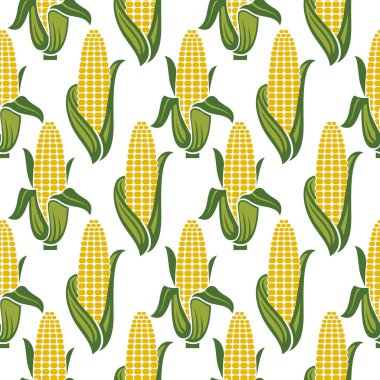 Beyaz arkaplanda izole edilmiş kusursuz mısır koçanı deseni
