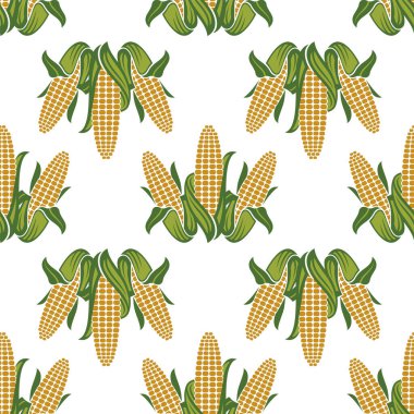 Beyaz arka planda izole edilmiş kusursuz mısır koçanı deseni