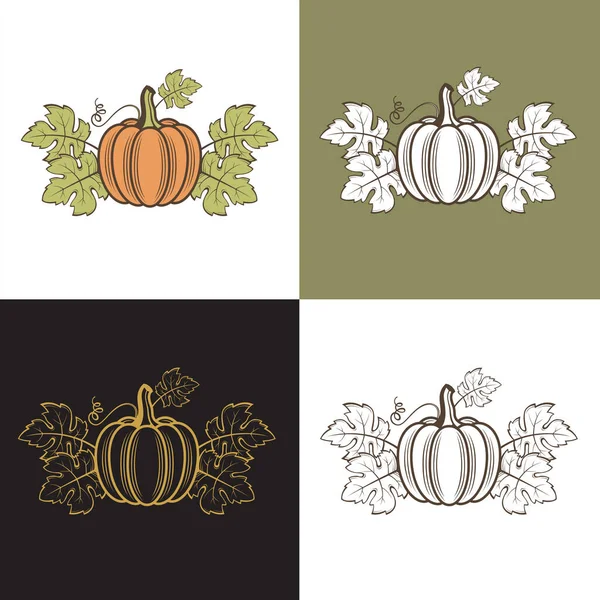 Collection Vegetable Pumpkins Green Leaves Isolated — Stock Vector