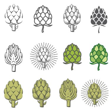 enginar tomurcuğu koleksiyonu beyaz arkaplanda izole edilmiş sebze çizimi