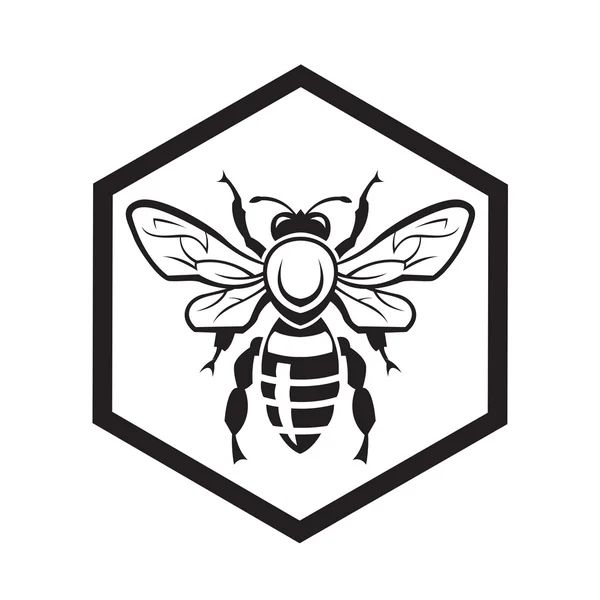 Abeja y miel — Vector de stock