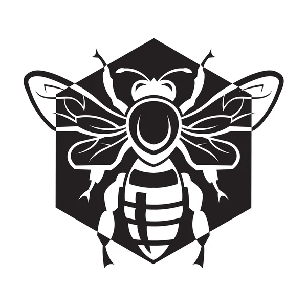 Пчела и мед — стоковый вектор