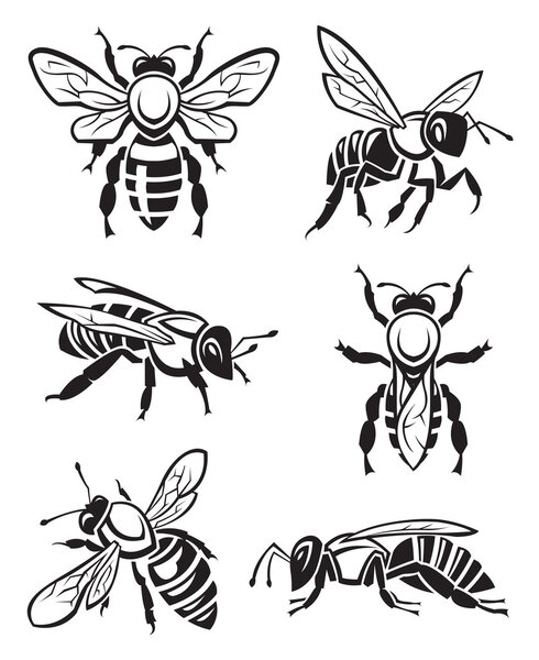 Set of bees