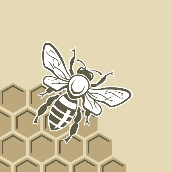 Abeja y miel — Vector de stock