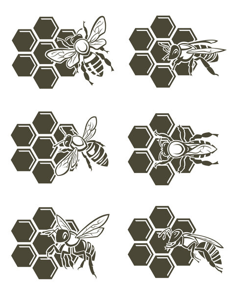 Комплект Пчелы и Меди
