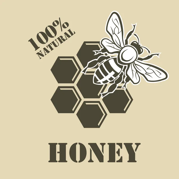Пчела и мед — стоковый вектор