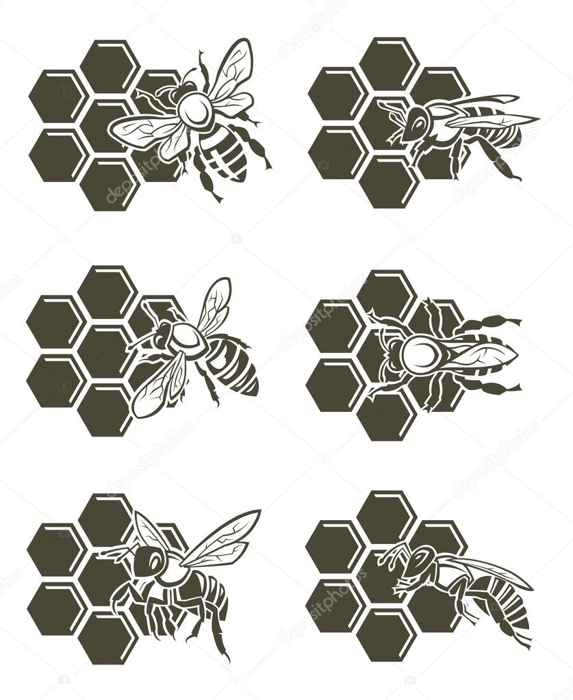 Bee and honey set