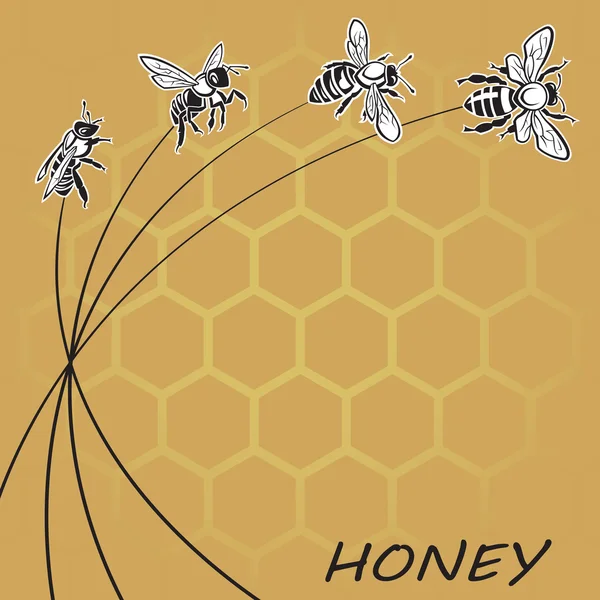 Abeja y miel de fondo — Vector de stock