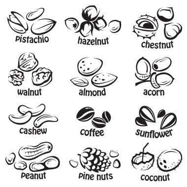 Nuts icon set clipart