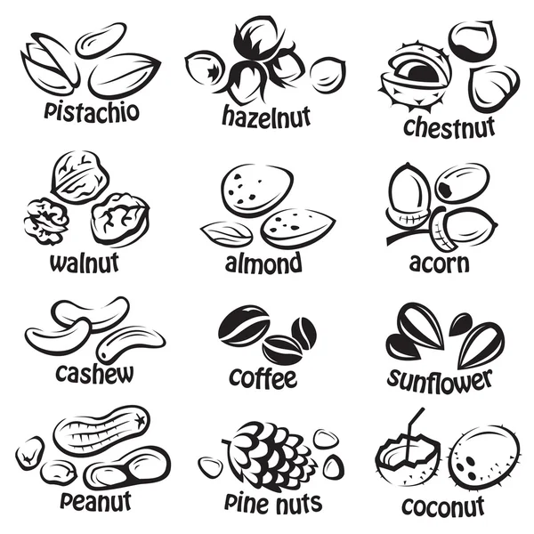 너트 아이콘 세트 — 스톡 벡터