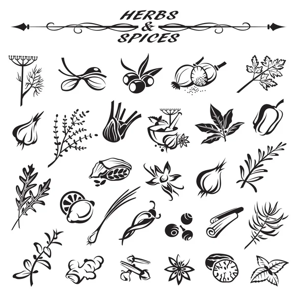 Bitkiler ve baharatlar.