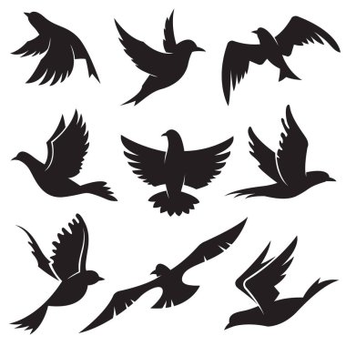 collection of birds silhouettes isolated on white background