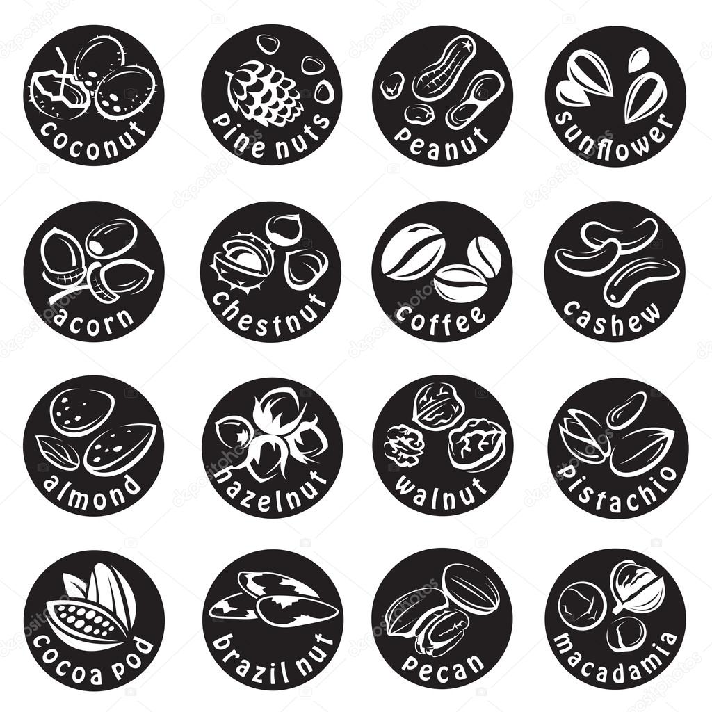 Set of sixteen monochrome nuts icons