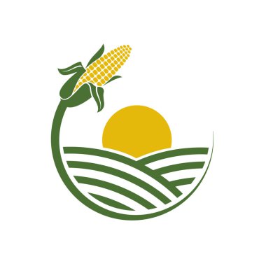 Mısır koçanı amblemi beyaz arkaplanda izole edildi