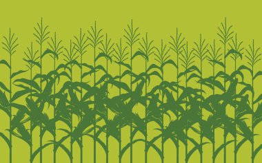 Yeşil arkaplanda mısır alanı illüstrasyonu