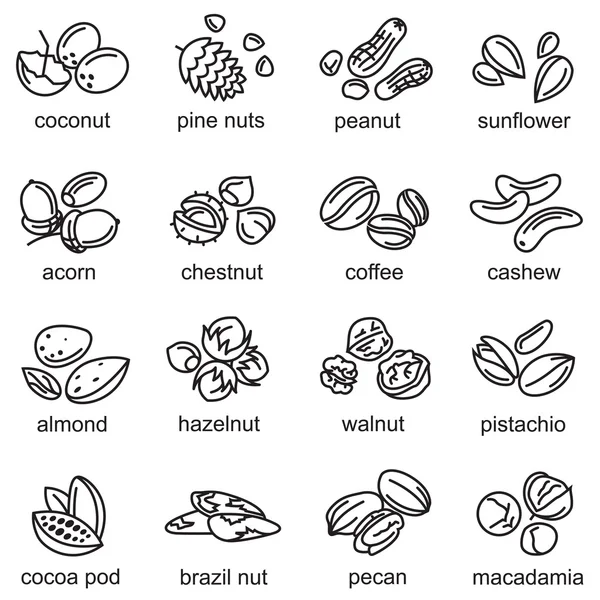 Nuts icons set — Stock Vector