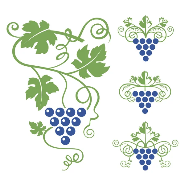 Conjunto de iconos de uvas — Vector de stock