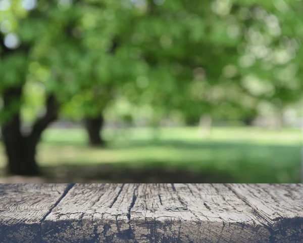 Hintergrund verschwommene Natur — Stockfoto