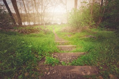 Ormanda kirli patika