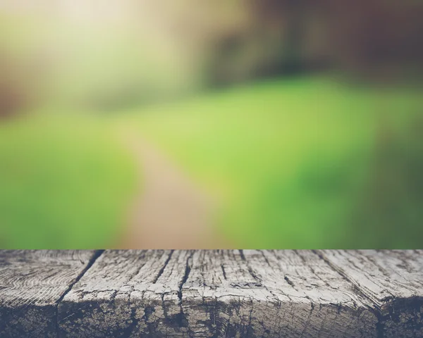 Sfondo della natura offuscata — Foto Stock