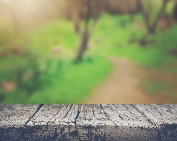 Suddig natur bakgrund — Stockfoto