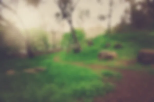 Blurred nature background — Stock Photo, Image