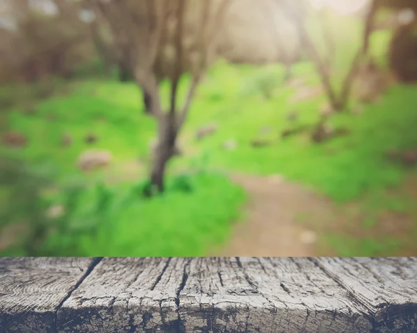 Hintergrund verschwommene Natur — Stockfoto