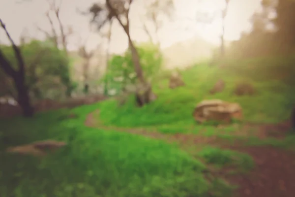 Fondo de la naturaleza borrosa —  Fotos de Stock