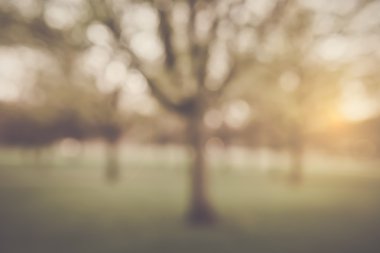 bulanık doğa arka plan  