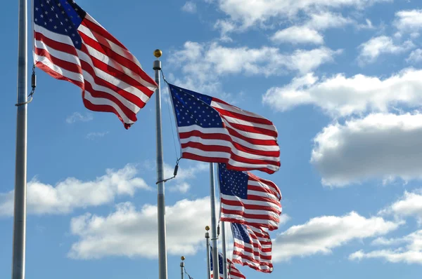 Amerikanische Flaggen im Wind — Stockfoto