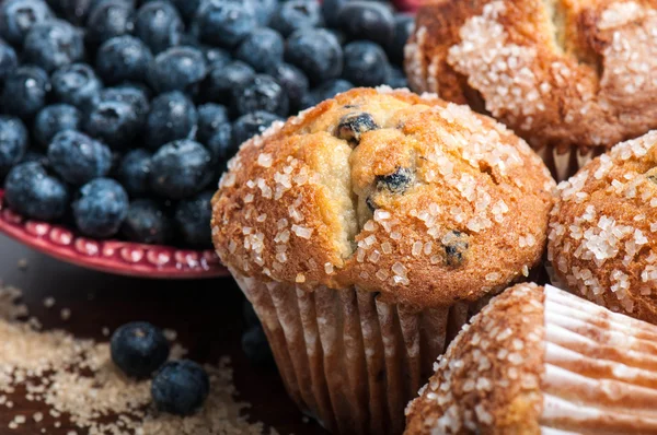 Muffins de mirtilo — Fotografia de Stock