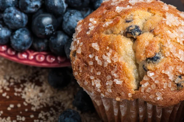 Muffins de mirtilo — Fotografia de Stock