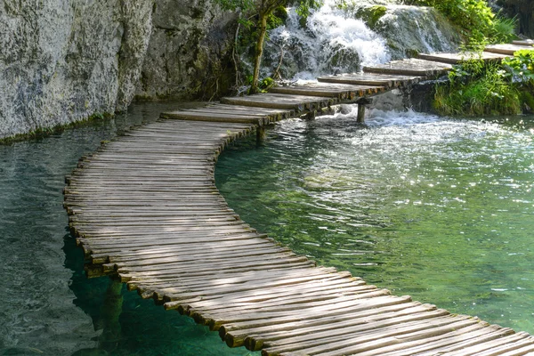 Passeio de madeira para caminhadas ao lado de um lago — Fotografia de Stock